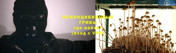 крисы Пересвет
