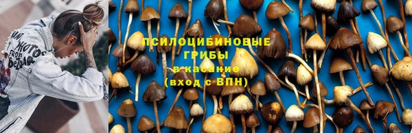 сатива Пестово