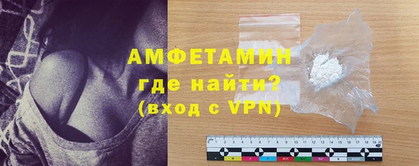 шишки Тында